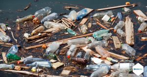 L'inquinamento da plastica nell'economia circolare